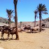 Las Playitas - Fuerteventuran pienimpi lomakohteita